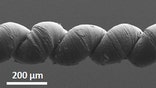 Muscles made from twisted strands of carbon yarn were able to pull more than , times their own weight in recent tests.